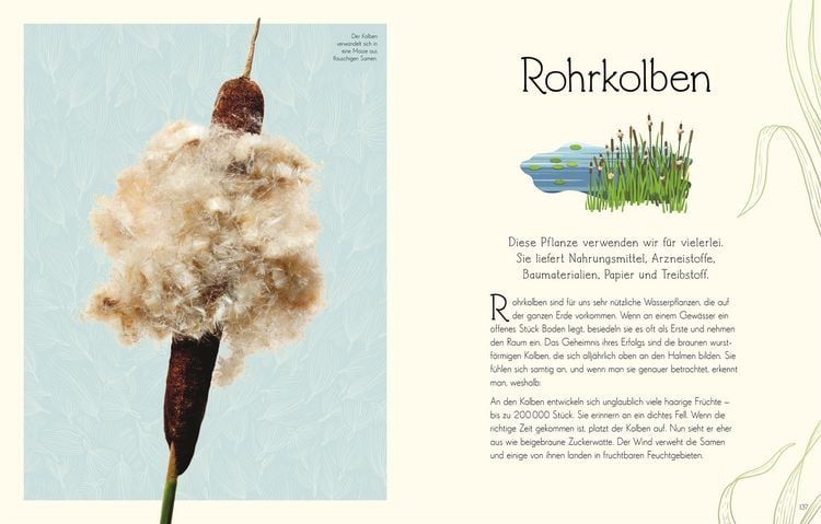 Produktbild: Wundervolle Welt. Wasser
