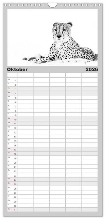 Produktbild: Familienplaner 2026 - AFRIKA - Schwarz-weiss Fotografien im modernen "High Key" Look mit 5 Spalten (Wandkalender, 21 x 45 cm) CALVENDO