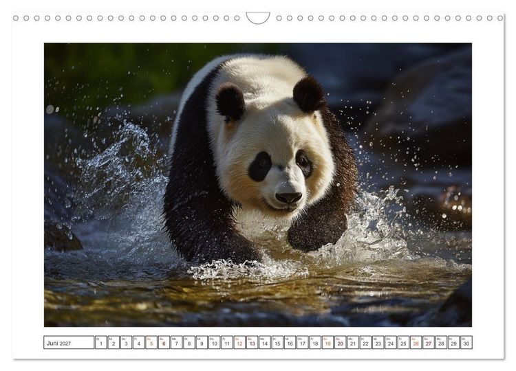 Produktbild: Panda Magie (Wandkalender 2027 DIN A3 quer), CALVENDO Monatskalender
