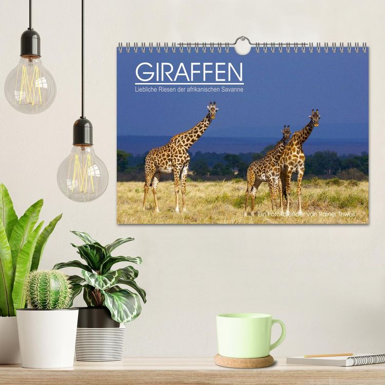 Produktbild: GIRAFFEN - Liebliche Riesen der afrikanischen Savanne (Wandkalender 2026 DIN A4 quer), CALVENDO Monatskalender