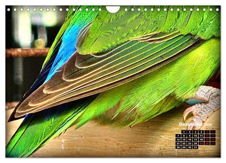 Produktbild: Die Unzertrennlichen (Wandkalender 2026 DIN A4 quer), CALVENDO Monatskalender