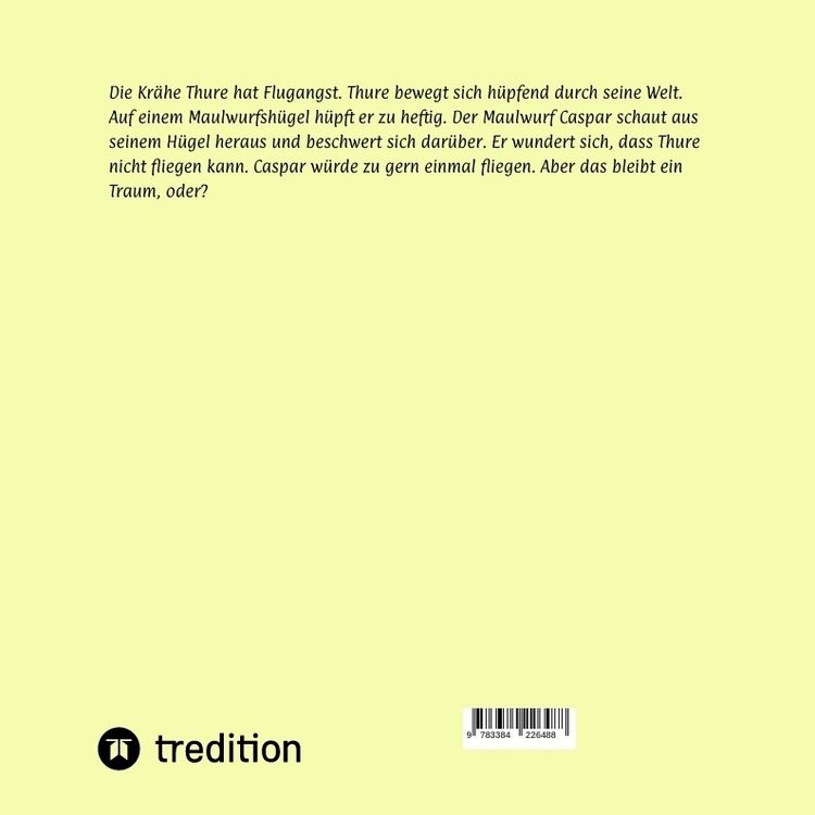 Produktbild: Thure und Caspar Zwei mutige Wiesenflieger