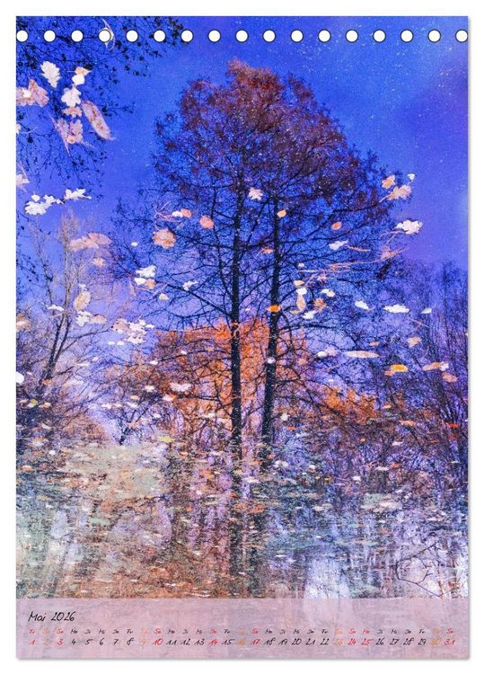 Produktbild: Wo der Wald tr&auml;umt (Tischkalender 2026 DIN A5 hoch), CALVENDO Monatskalender