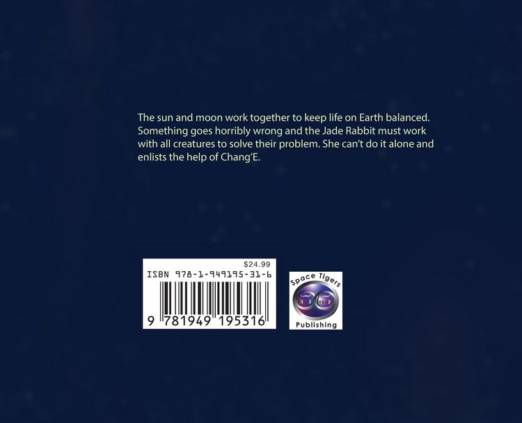 Produktbild: When the Moon Stopped
