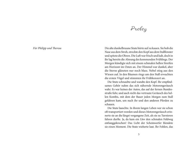 Produktbild: Elena – Ein Leben für Pferde 2: Sommer der Entscheidung