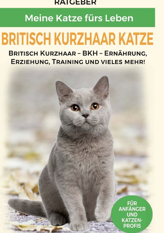 Produktbild: Britisch Kurzhaar Katze