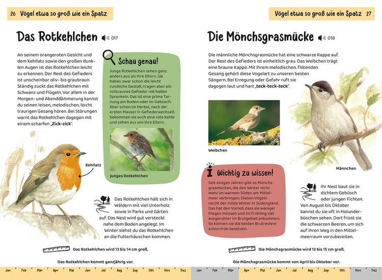 Produktbild: Was fliegt denn da? Kindernaturf&uuml;hrer