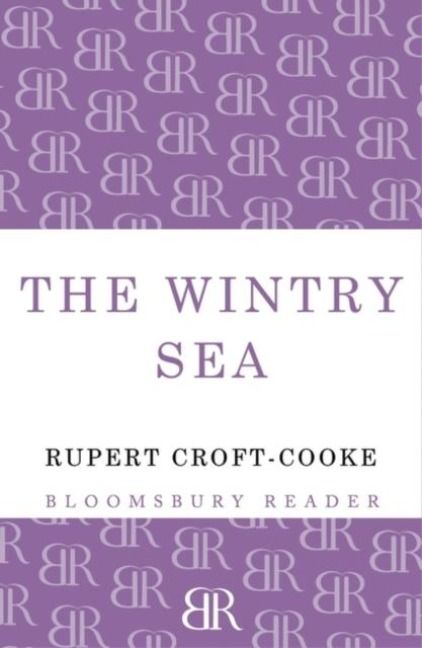 Produktbild: The Wintry Sea