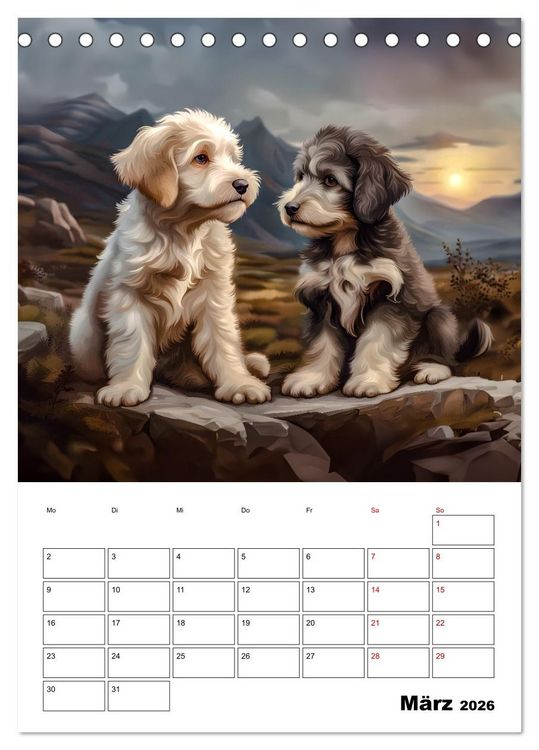 Produktbild: Aussiedoodle - Hunde zum Liebhaben (Tischkalender 2026 DIN A5 hoch), CALVENDO Monatskalender