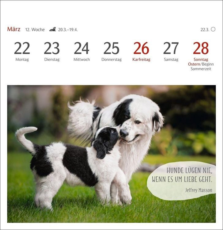 Produktbild: Hunde Premium-Postkartenkalender 2027 - Freunde auf vier Pfoten; Kalender mit 53 Postkarten
