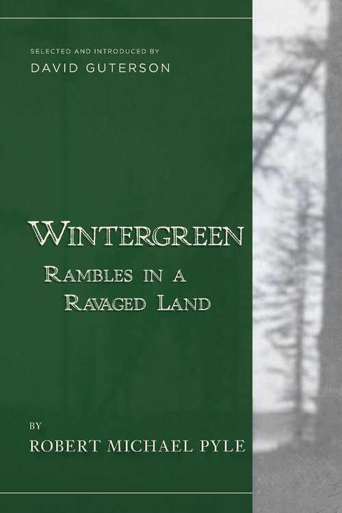 Produktbild: Wintergreen