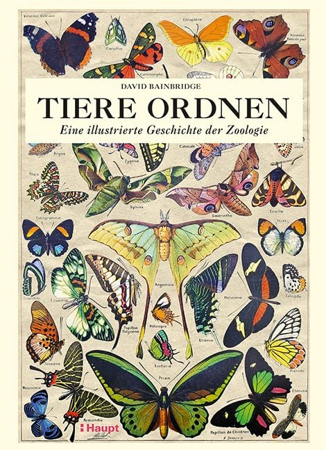 Produktbild: Tiere ordnen