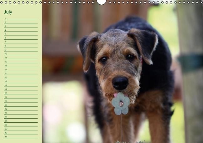 Produktbild: Puppies Birthday Calendar / UK-Version (Wall Calendar perpetual DIN A3 Landscape)