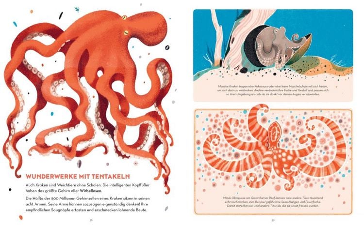 Produktbild: Das Great Barrier Reef
