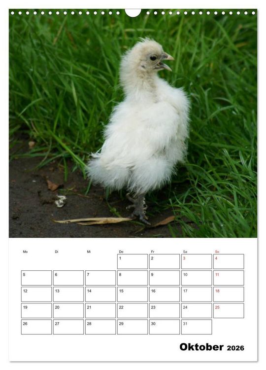 Produktbild: H&uuml;hner Terminplaner (Wandkalender 2026 DIN A3 hoch), CALVENDO Monatskalender