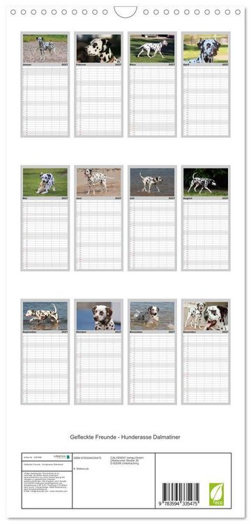 Produktbild: Familienplaner 2027 - Gefleckte Freunde - Hunderasse Dalmatiner mit 5 Spalten (Wandkalender, 21 x 45 cm) CALVENDO
