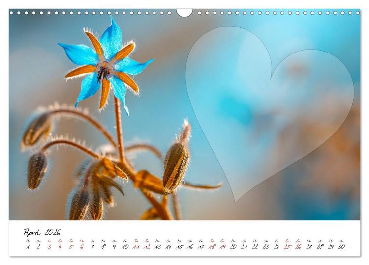 Produktbild: Blauer Bl&uuml;tentraum - Bastelkalender (Wandkalender 2026 DIN A3 quer), CALVENDO Monatskalender