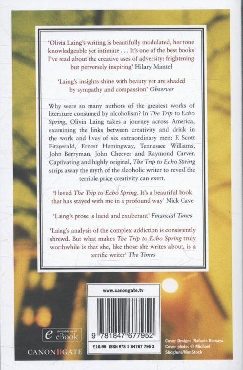 Produktbild: Laing, O: Trip to Echo Spring