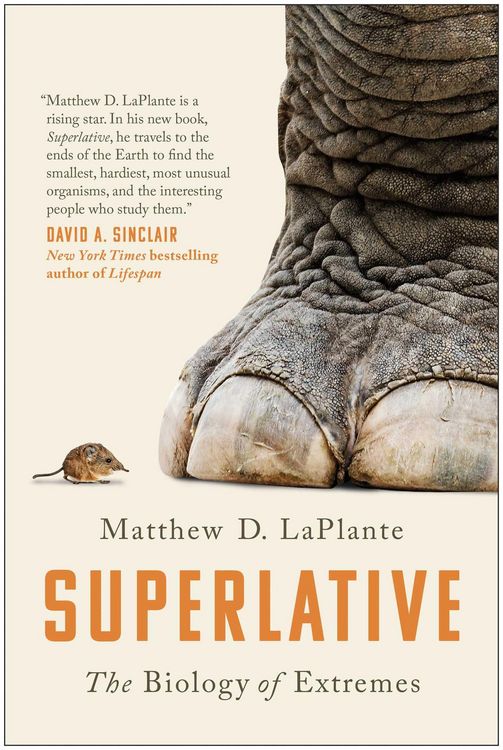 Produktbild: Superlative