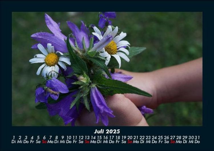 Produktbild: Blumentr&auml;ume 2025 Fotokalender DIN A5