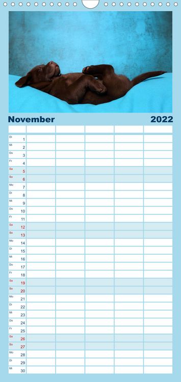 Produktbild: Familienplaner S&uuml;&szlig;e Tr&auml;ume 2022 - schlafende Hundewelpen (Wandkalender 2022 , 21 cm x 45 cm, hoch)