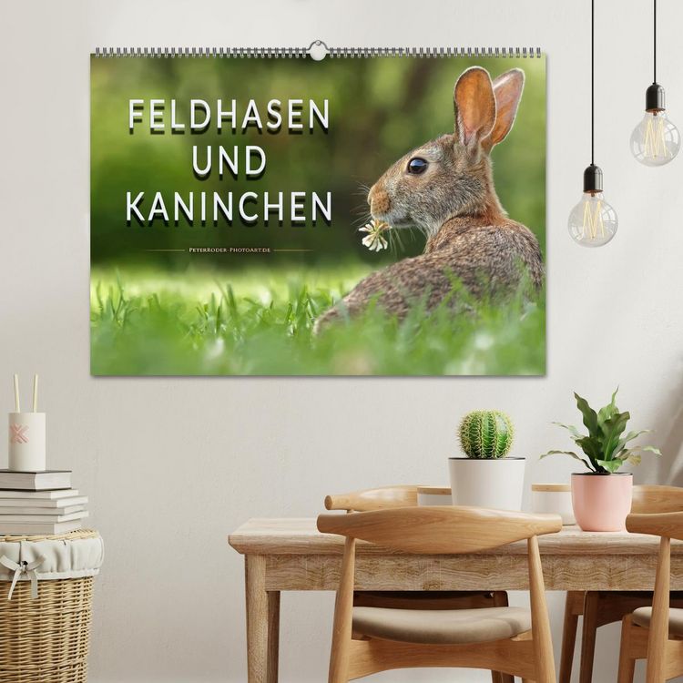 Produktbild: Feldhasen und Kaninchen (Wandkalender 2026 DIN A2 quer), CALVENDO Monatskalender