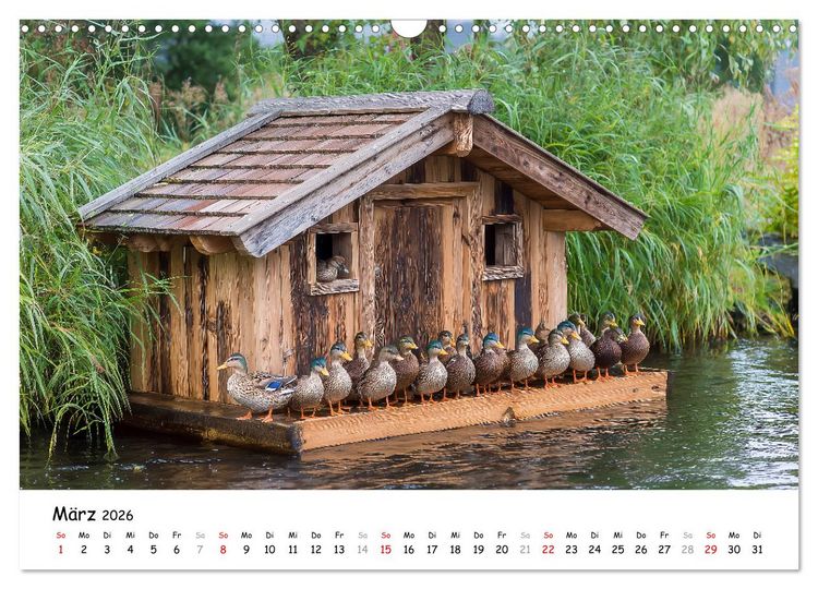 Produktbild: Hans der Bauer und seine Tiere auf dem Bauernhof (Wandkalender 2026 DIN A3 quer), CALVENDO Monatskalender