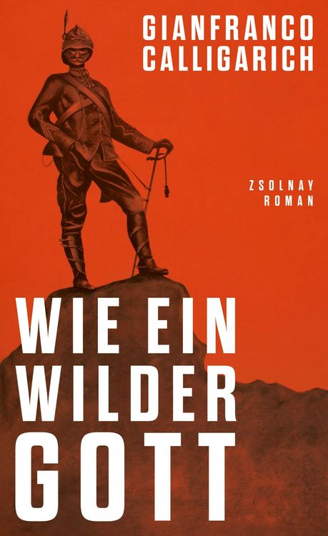 Produktbild: Wie ein wilder Gott
