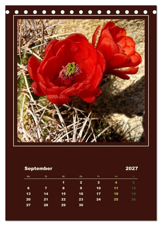 Produktbild: Wilde Kakteen Amerikas (Tischkalender 2027 DIN A5 hoch), CALVENDO Monatskalender
