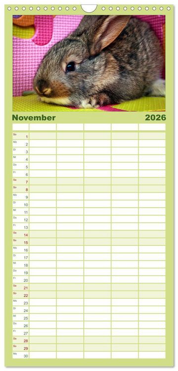 Produktbild: Familienplaner 2026 - Lustige Kaninchen mit 5 Spalten (Wandkalender, 21 x 45 cm) CALVENDO