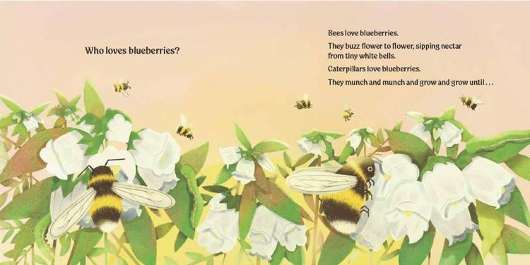 Produktbild: Who Loves Blueberries?