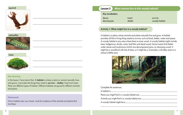 Produktbild: Snap Science 2nd Edition - Snap Science Pupil Workbook