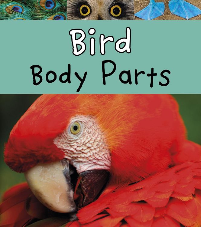 Produktbild: Bird Body Parts