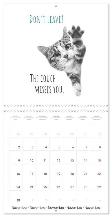 Produktbild: Purrfectly Cool Cats (Wall Calendar 2026 12 &times; 12 Inch) CALVENDO 12 Month Wall Calendar