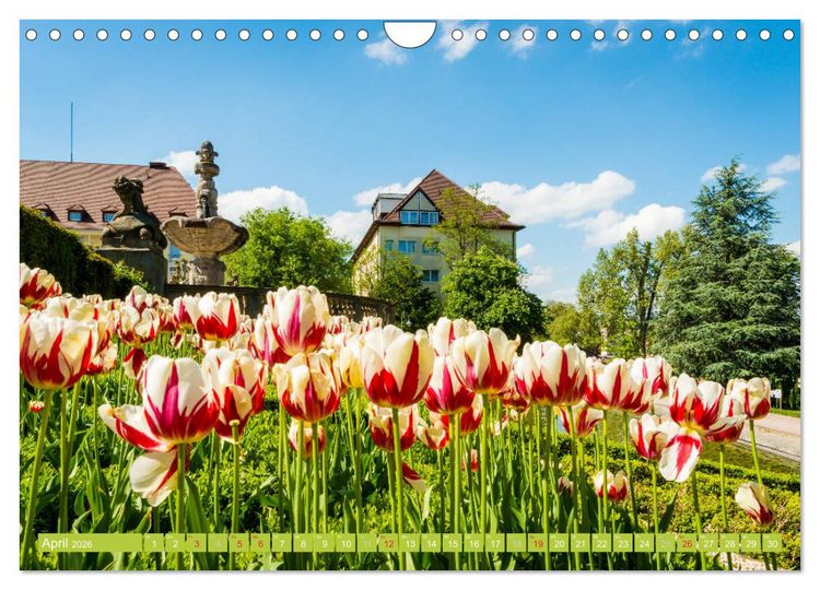 Produktbild: Malerisches Bad D&uuml;rkheim (Wandkalender 2026 DIN A4 quer), CALVENDO Monatskalender