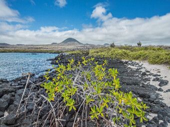 Produktbild: CALVENDO Puzzle Isla Floreana - Galapagos | 1000 Teile Lege-Gr&ouml;&szlig;e 64x48cm Foto-Puzzle f&uuml;r gl&uuml;ckliche Stunden