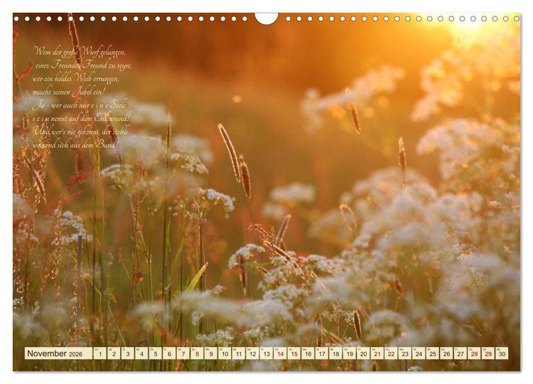 Produktbild: Sommergr&auml;ser (Wandkalender 2026 DIN A3 quer), CALVENDO Monatskalender