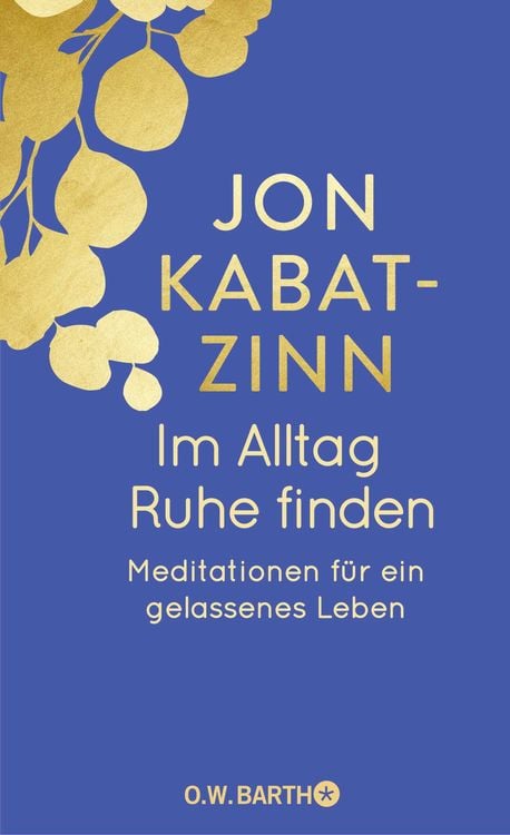 Bild vom Artikel Im Alltag Ruhe finden vom Autor Jon Kabat Zinn