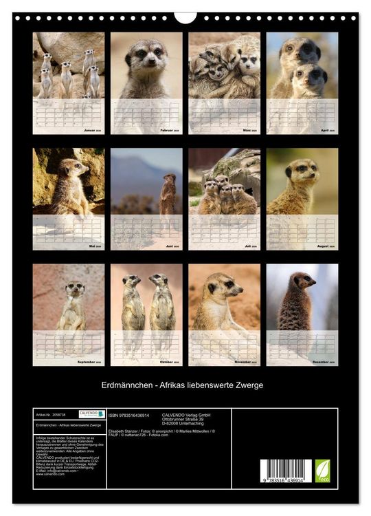 Produktbild: Erdm&auml;nnchen - Afrikas liebenswerte Zwerge (Wandkalender 2026 DIN A3 hoch), CALVENDO Monatskalender