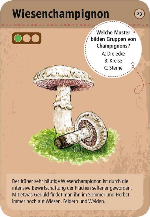 Produktbild: 50 heimische Pilze