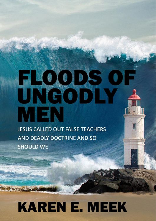 Produktbild: Floods of Ungodly Men
