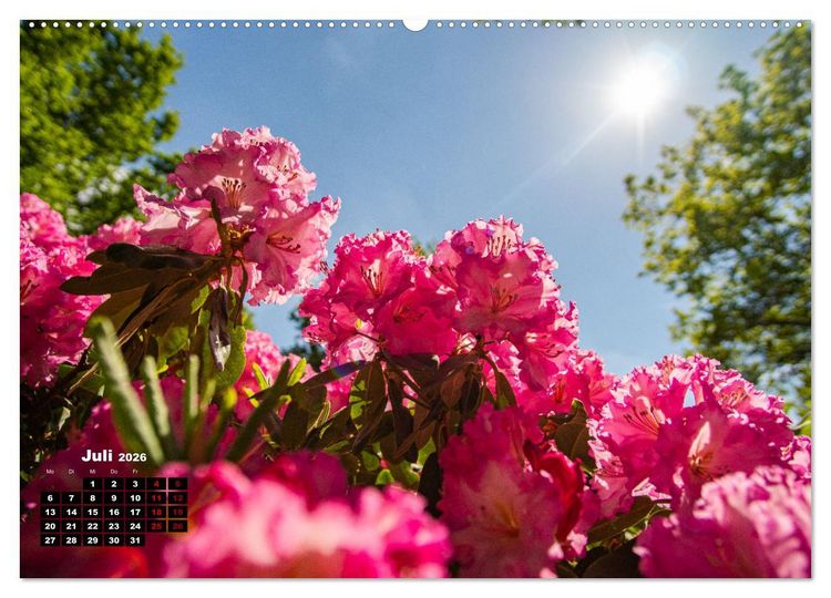 Produktbild: Bremen Fotokalender 2026 (Wandkalender 2026 DIN A2 quer), CALVENDO Monatskalender