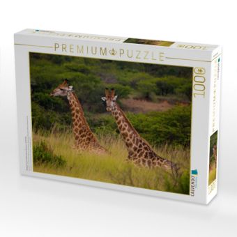 Produktbild: CALVENDO Puzzle Begegnung im Ihtala Game Reserve, S&uuml;dafrika | 1000 Teile Lege-Gr&ouml;&szlig;e 64x48cm Foto-Puzzle f&uuml;r gl&uuml;ckliche Stunden