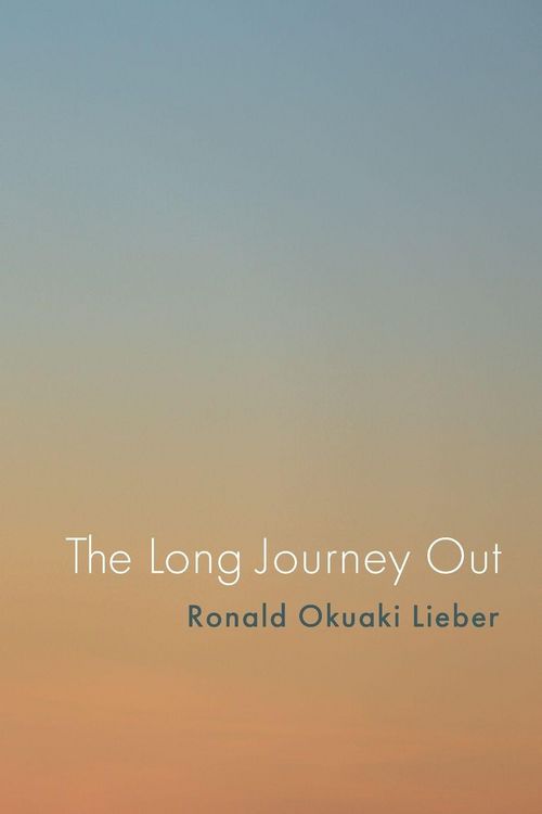 Produktbild: The Long Journey Out