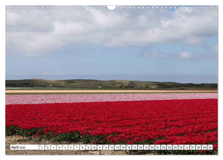 Produktbild: Callantsoog (Wandkalender 2026 DIN A3 quer), CALVENDO Monatskalender