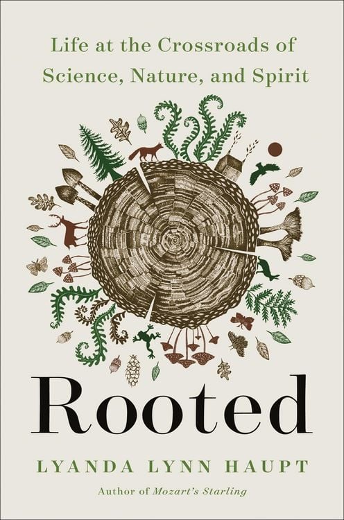 Produktbild: Rooted