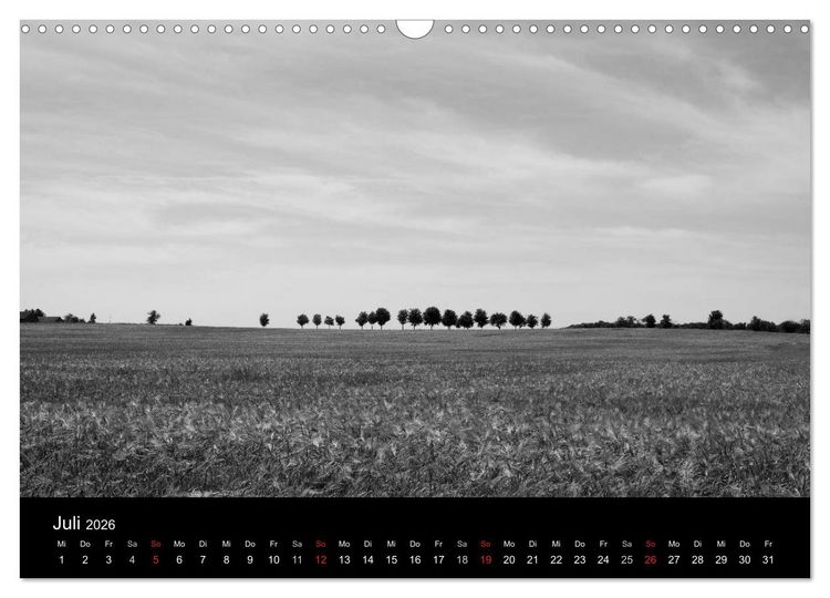 Produktbild: B&auml;ume trees 2026 (Wandkalender 2026 DIN A3 quer), CALVENDO Monatskalender
