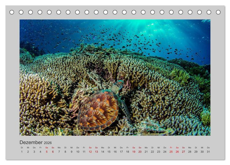 Produktbild: Korallen-Riffe Tauchertr&auml;ume (Tischkalender 2026 DIN A5 quer), CALVENDO Monatskalender