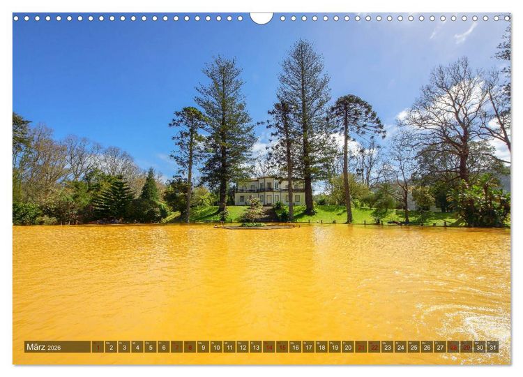 Produktbild: Terra Nostra Garten - ein botanisches Juwel auf den Azoren (Wandkalender 2026 DIN A3 quer), CALVENDO Monatskalender