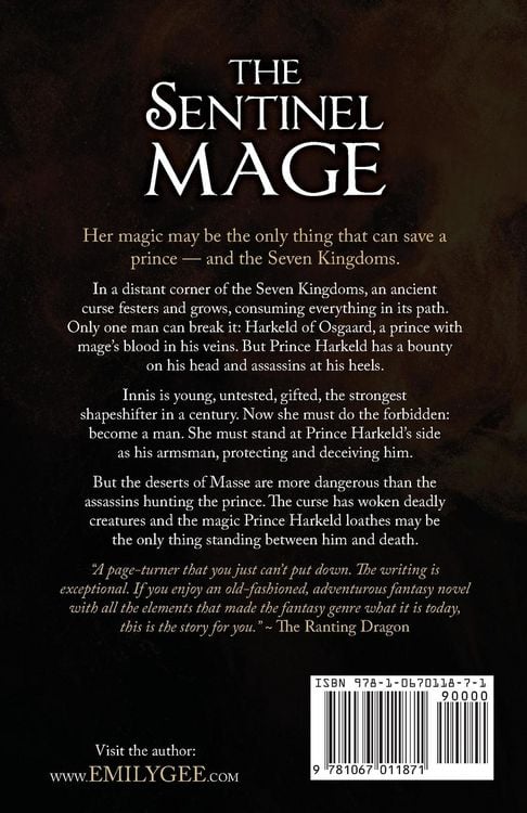 Produktbild: The Sentinel Mage